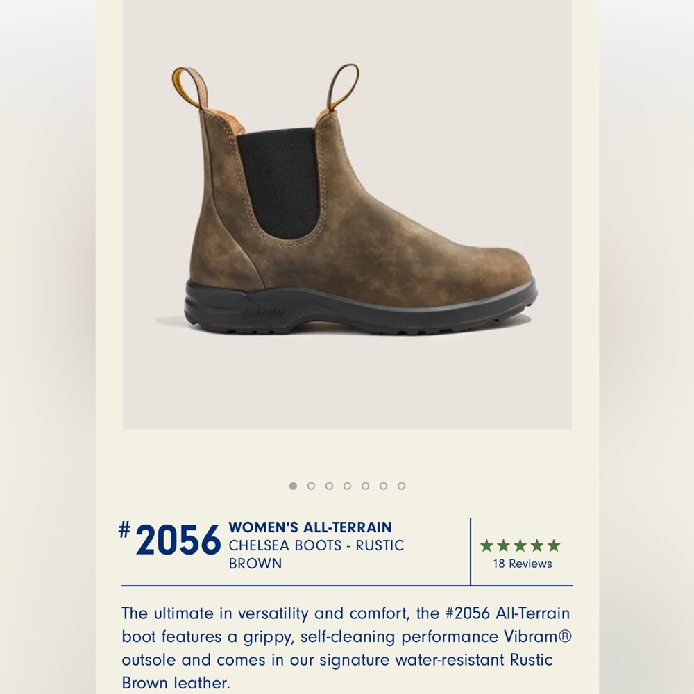 Blundstone Chelsea Boots